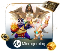 MicroGaming